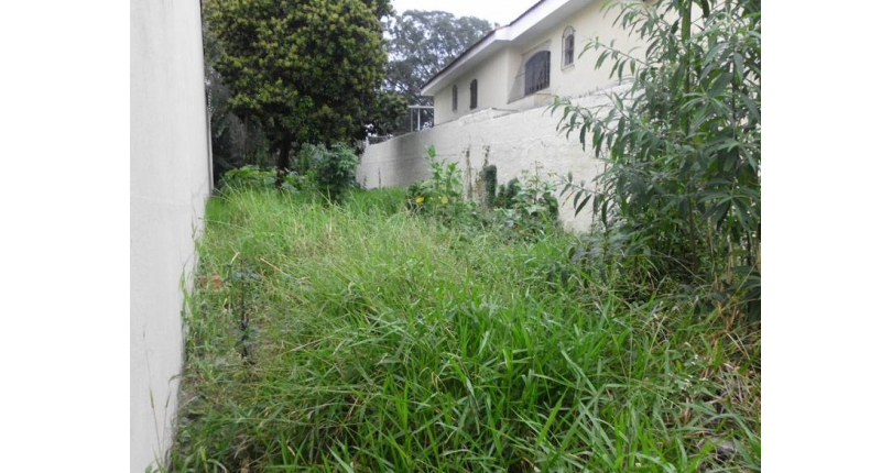 Terreno à venda Rua Iandu, Parque São Domingos - Imóveis à Venda