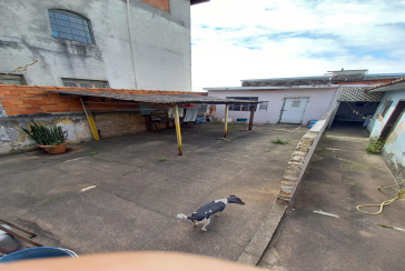 Ótimo Terreno à venda na Vila Ayrosa na Avenida São José