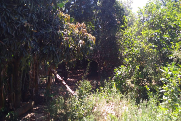 Terreno à venda na Vila Clarice na Rua João Rodrigues Leite