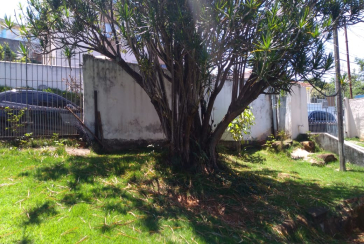 Terreno à venda na Vila Clarice na Rua João Rodrigues Leite