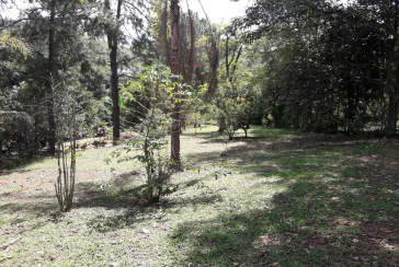 Sítio à venda em Pirapora de Bom Jesus na Rua Três Estrelas