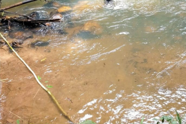 Sítio à venda em Pirapora de Bom Jesus na Rua Três Estrelas
