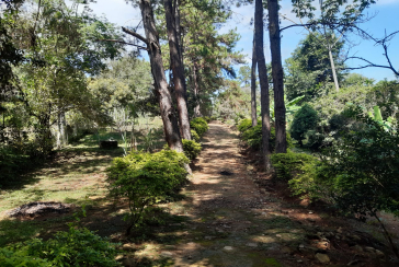 Sítio à venda em Pirapora de Bom Jesus na Rua Três Estrelas