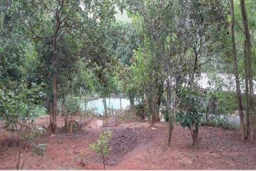 Sítio à venda em Pirapora de Bom Jesus na Rua Três Estrelas