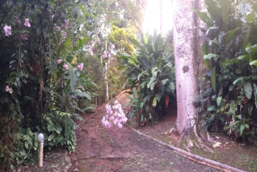 Terreno à venda em Santana de Parnaíba Chácara Jaguari (Fazendinha)na Estrada Jaguari