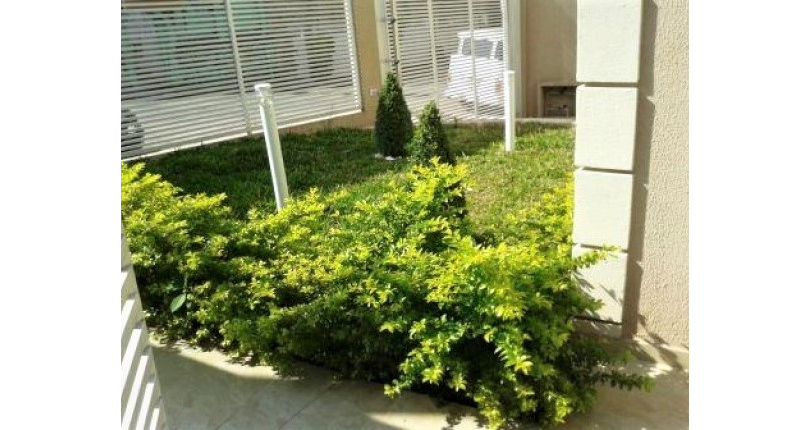  Sobrado à venda na Vila Pereira Barreto na Rua Luís de Andrade 909