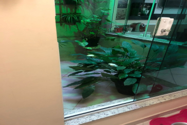 Belo Sobrado à venda na Vila Guedes na Rua São Francisco de Assis