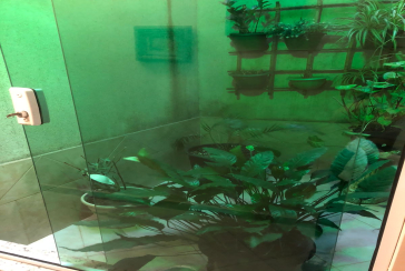 Belo Sobrado à venda na Vila Guedes na Rua São Francisco de Assis