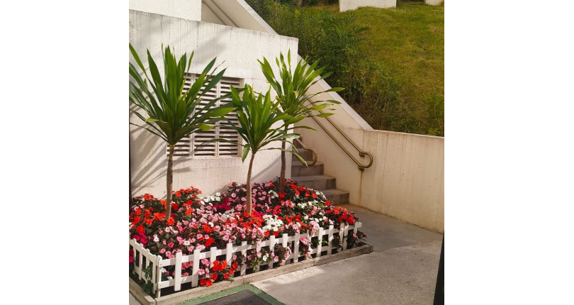 Apartamento à venda no Jardim Iris na Avenida Santa Isabel do Rio Negro 140