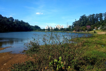 Terreno á venda no City América na  Avenida Cardeal Motta