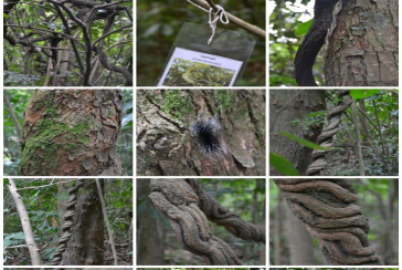 Lindo Apartamento à Venda em Pirituba no Condomínio Sítio Anhanguera, 
