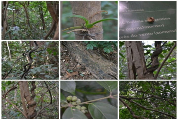 Lindo Apartamento à Venda em Pirituba no Condomínio Sítio Anhanguera