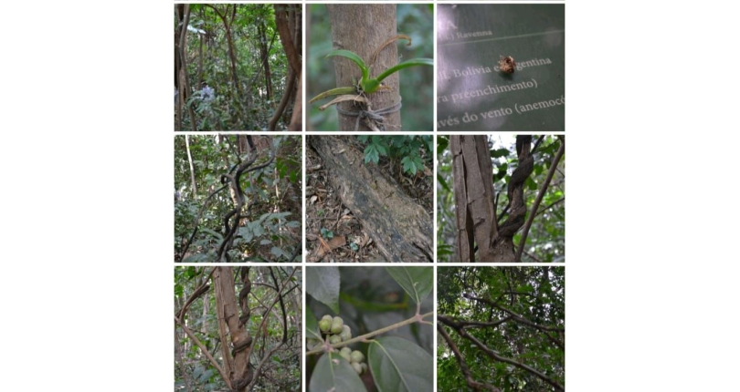 Lindo Apartamento à Venda em Pirituba no Condomínio Sítio Anhanguera, 