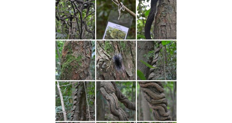 Lindo Apartamento à Venda em Pirituba no Condomínio Sítio Anhanguera