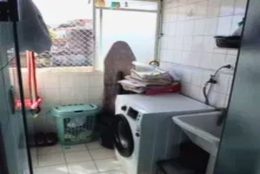  Rua Itapixe 189, no Condomínio Morada dos Pássaros