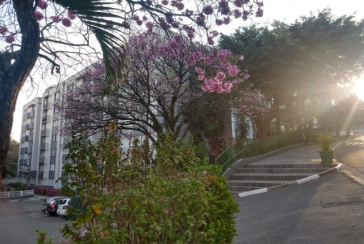 Oportunidade: Apartamento à venda no Jardim Santa Mônica na Avenida Santa Monica 593