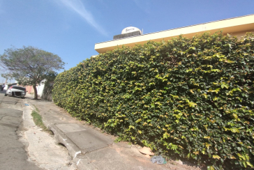 Casas para renda à venda no Jardim Santo Elias na Rua Otávio Gonçalves Martins