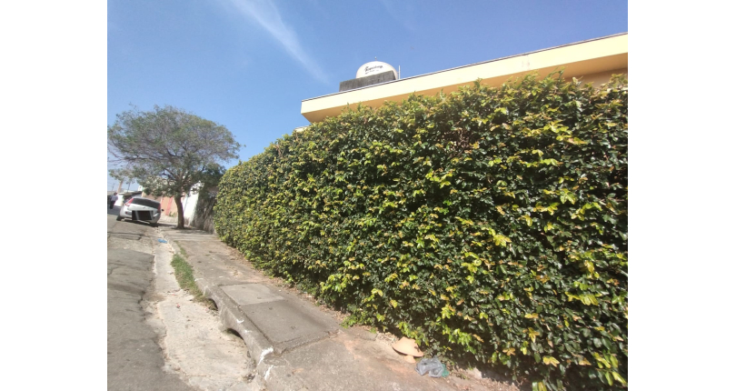 Casas para renda à venda no Jardim Santo Elias na Rua Otávio Gonçalves Martins