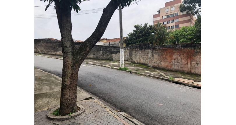 Terreno à venda na Vila Guedes na Rua Martinho do Amaral