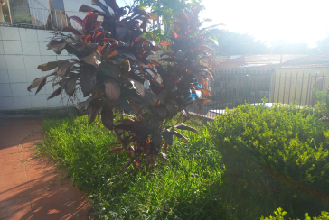 Casa Térrea à venda na Vila dos Remédios na Rua Lopo Homem