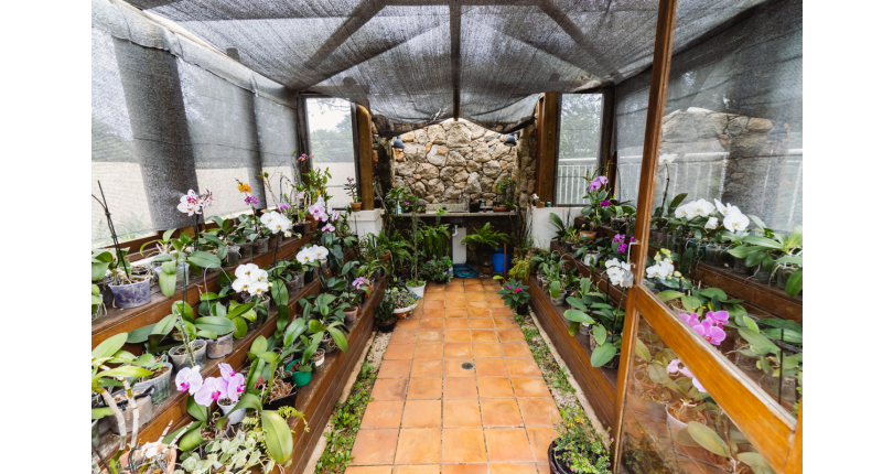 Apartamento à venda em Pirituba no Condomínio Sítio Anhanguera na Rua Willian Furneau 140, no Edifício Sabia