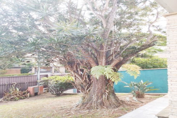 Bela Casa à venda na Bela Aliança na Rua Cordilheiras