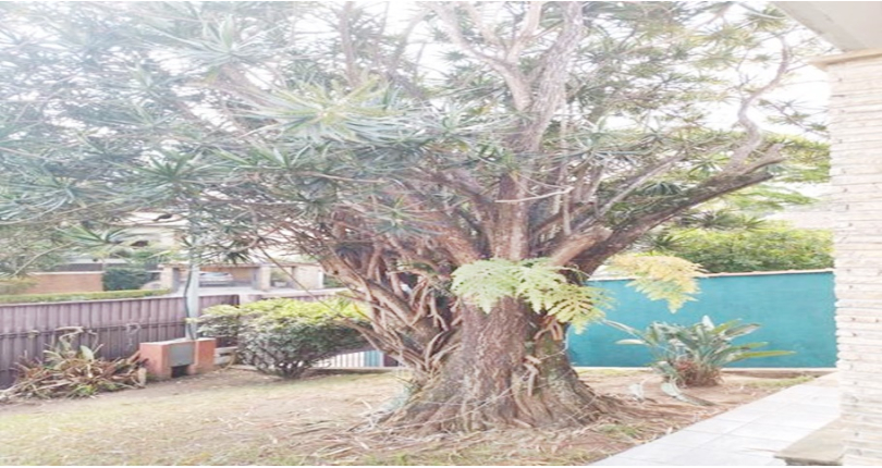 Bela Casa à venda na Bela Aliança na Rua Cordilheiras