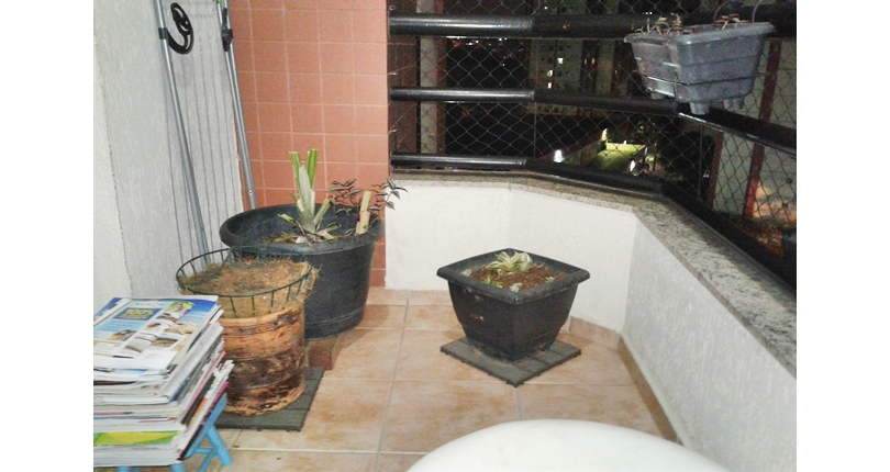 Apartamento à venda Avenida Raimundo Pereira de Magalhães, 1720, Jardim Iris - Imóveis à Venda