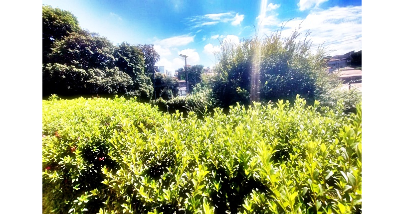 Casa à venda na Vila Guedes na Rua José da Costa Ramos