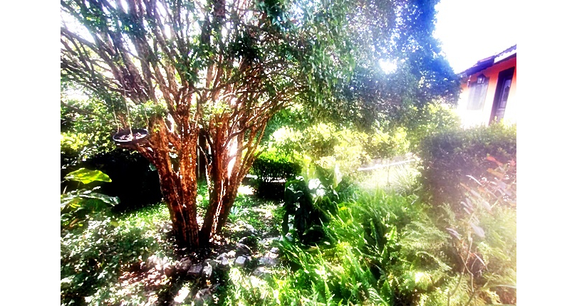 Casa à venda na Vila Guedes na Rua José da Costa Ramos