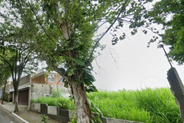 Terreno único à venda no Bairro da Boaçava na Rua Pau-Brasil