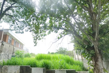 Terreno único à venda no Bairro da Boaçava na Rua Pau-Brasil