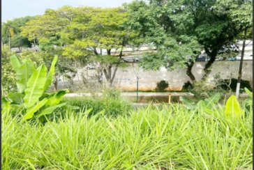 Terreno único à venda no Bairro da Boaçava na Rua Pau-Brasil