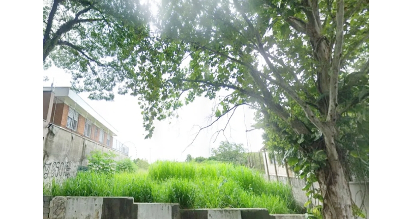 Terreno único à venda no Bairro da Boaçava na Rua Pau-Brasil