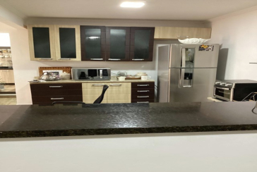 Casa térrea à venda no Bairro do Parque Panamericano na Rua Josefa Fontoura, 