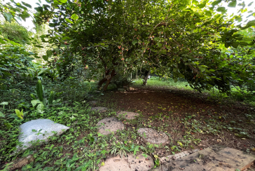 Casa térrea à venda no Bairro da Vila Clarice na Rua Major Alfredo Romão