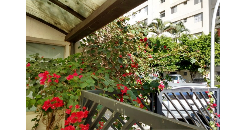  Apartamento à venda no Bairro da Vila Jaraguá na Estrada Turística do Jaraguá 1050, 