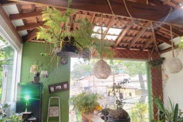  Sobrado à venda no Bairro do Jardim Regina na Rua Engenheiro Marcílio Cardoso 