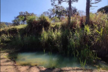 Chácara à venda em Piracaia na Estrada Municipal Manuel Lopes da Silva,