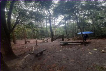 Lindo Apartamento à venda no Bairro do Jaraguá na Rua Theófilo Azambuja 145