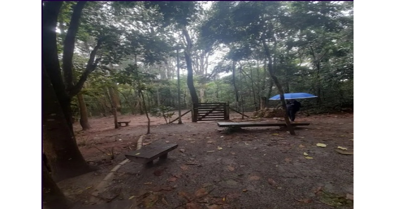 Lindo Apartamento à venda no Bairro do Jaraguá na Rua Theófilo Azambuja 145