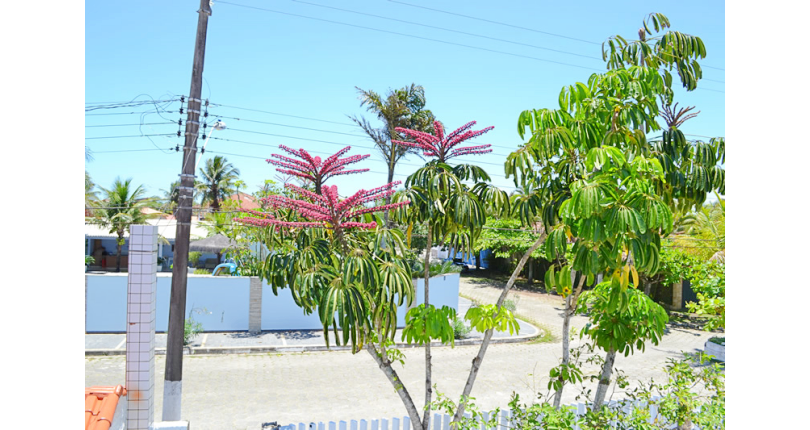 Casa térrea à venda em Itanhaém no Jardim Grandesp 