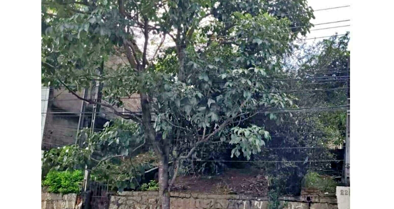 Terreno à venda no Bairro da Vila Mangalot na Rua Joaquim Oliveira Freitas, 