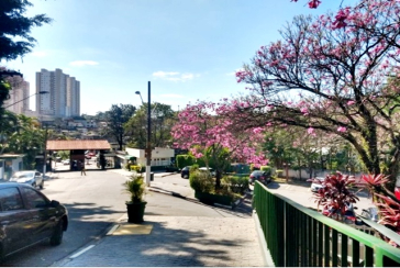 Apartamento à venda no Bairro do Jardim Santa Mônica na Avenida Santa Monica 593, no Condomínio Edifício Parque Residencial Santa Monica