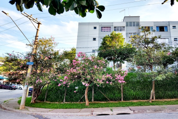 Apartamento à venda no Bairro do Jardim Pinheiros na Rua José Mauro de Vasconcelos 95, no Condomínio Jardim dos Pinheiros