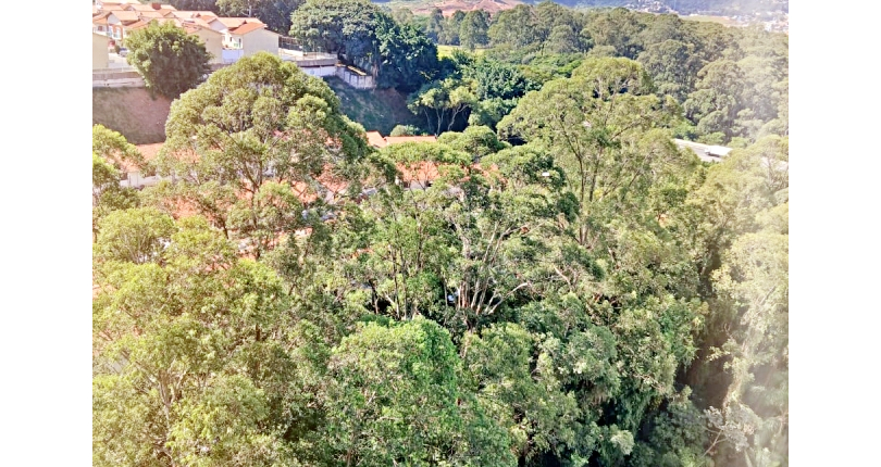 Belo Apartamento à venda no Bairro do Jardim Regina na Avenida Agenor Couto de Magalhães 222,