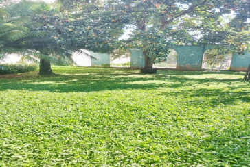Casa à venda no Bairro do Jardim Maristela na Rua Coronel Augusto Machado,