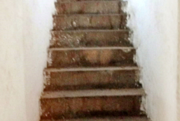 Imóvel Comercial à venda no Bairro da Vila Pirituba na Avenida Paula Ferreira