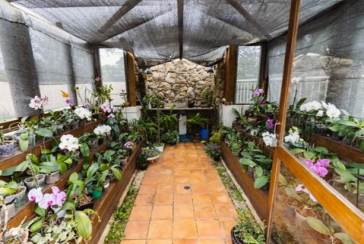 Apartamento à venda em Pirituba no Condomínio Sítio Anhanguera na Rua Willian Furneau 296,