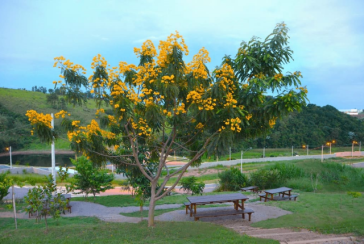 Lindo Terreno à venda em Itatiba no Bairro Itapema na Rodovia Romildo Prado
